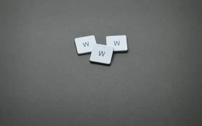 The Who, What, When, Where, and Why of Your SEO