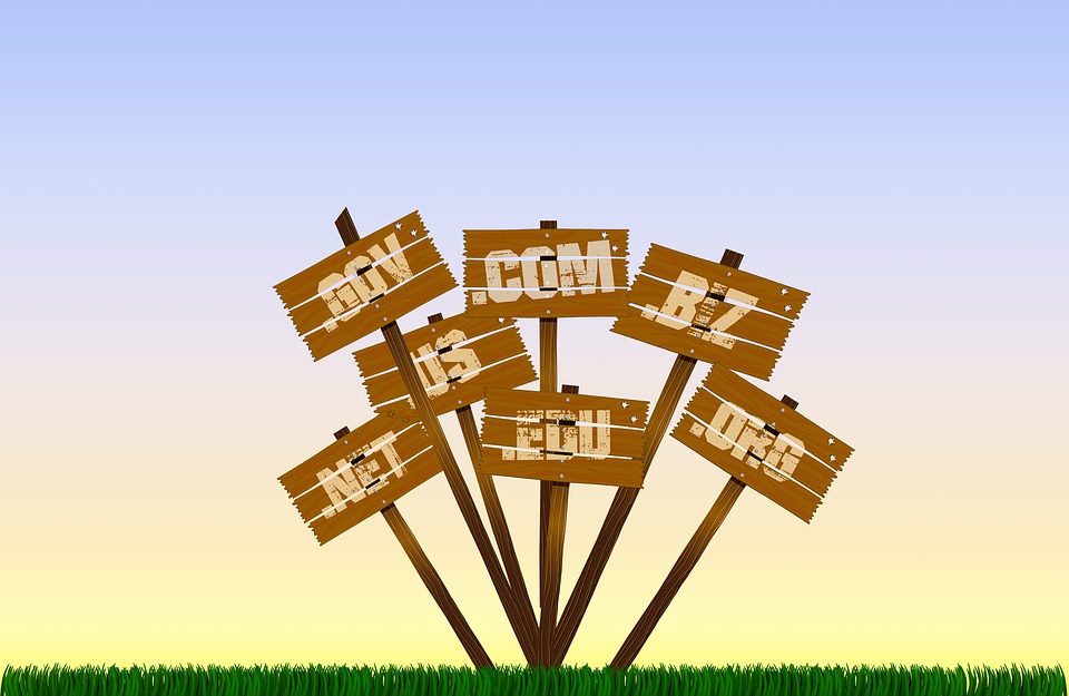 Maximize SEO with Domain Name