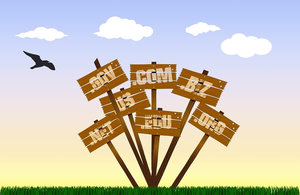 Domain Extension to Choose Domain Extension to Choose