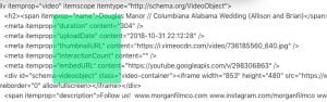 video markup variables